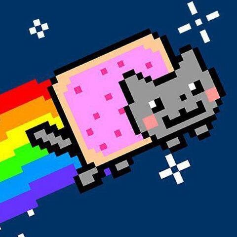 dianapa61384503's profile picture. 