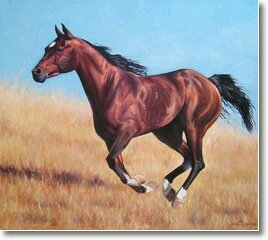 JADiaz43's profile picture. 