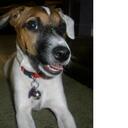 Doris Gaines - @safara12 - Twitter