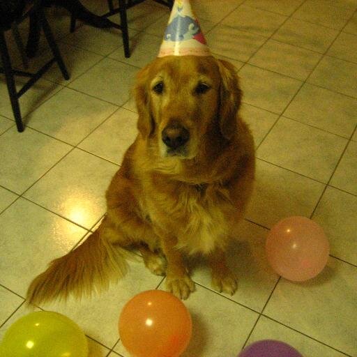 LaurelKarry's profile picture. Lover of gobbledygook, gardening, tennis, and tea