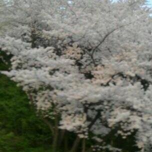 kimyr7566's profile picture. 