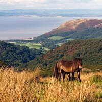 devontouristguide (@devontour) 's Twitter Profile