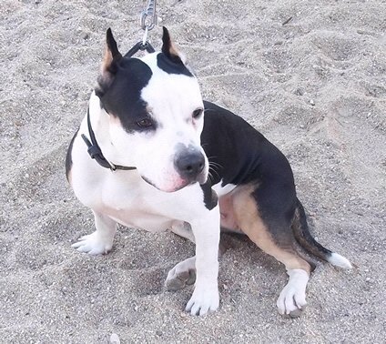 kikitx83's profile picture. 