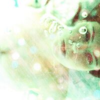 In Honor Of (@inhonoroffilm) 's Twitter Profile