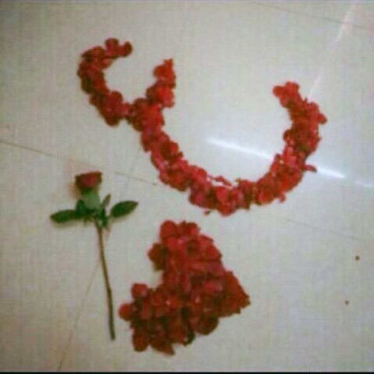 xusbidvm's profile picture. 