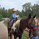 dawn forman - @d_forman - Twitter