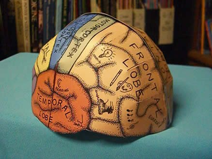 Conectando a la Neurociencia