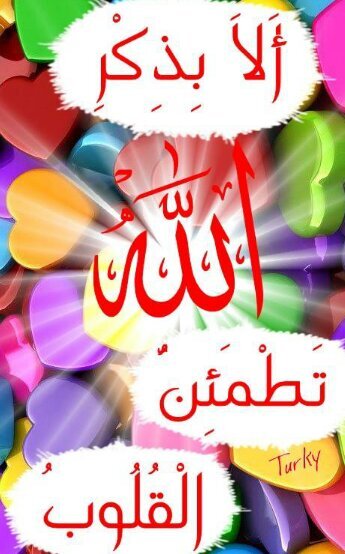 نذكر بالله جلا جلاله.نرجو منكم الدعم بالمتابعه والرتويت.