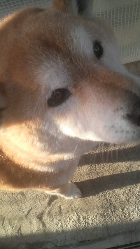 E0Polariton's profile picture. 