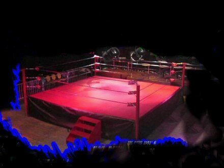 FridayNightkaos's profile picture. This is friday night carnage. we perform every friday night, and twice on sunday. no joke. PPV's every month on saturday. Owner is @ChaoticWrastlan