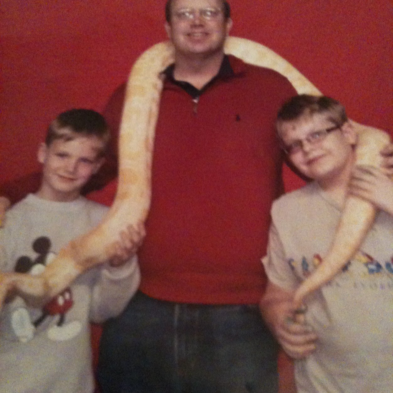 Wheelerty's profile picture. 