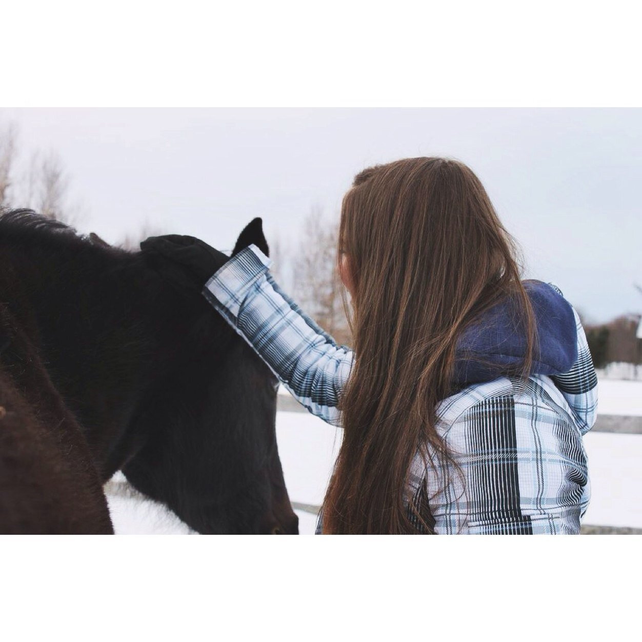 Nadia| Canada| 15 Equeeestrian for life. Follow my instagram: @equinehault for a free pizza
