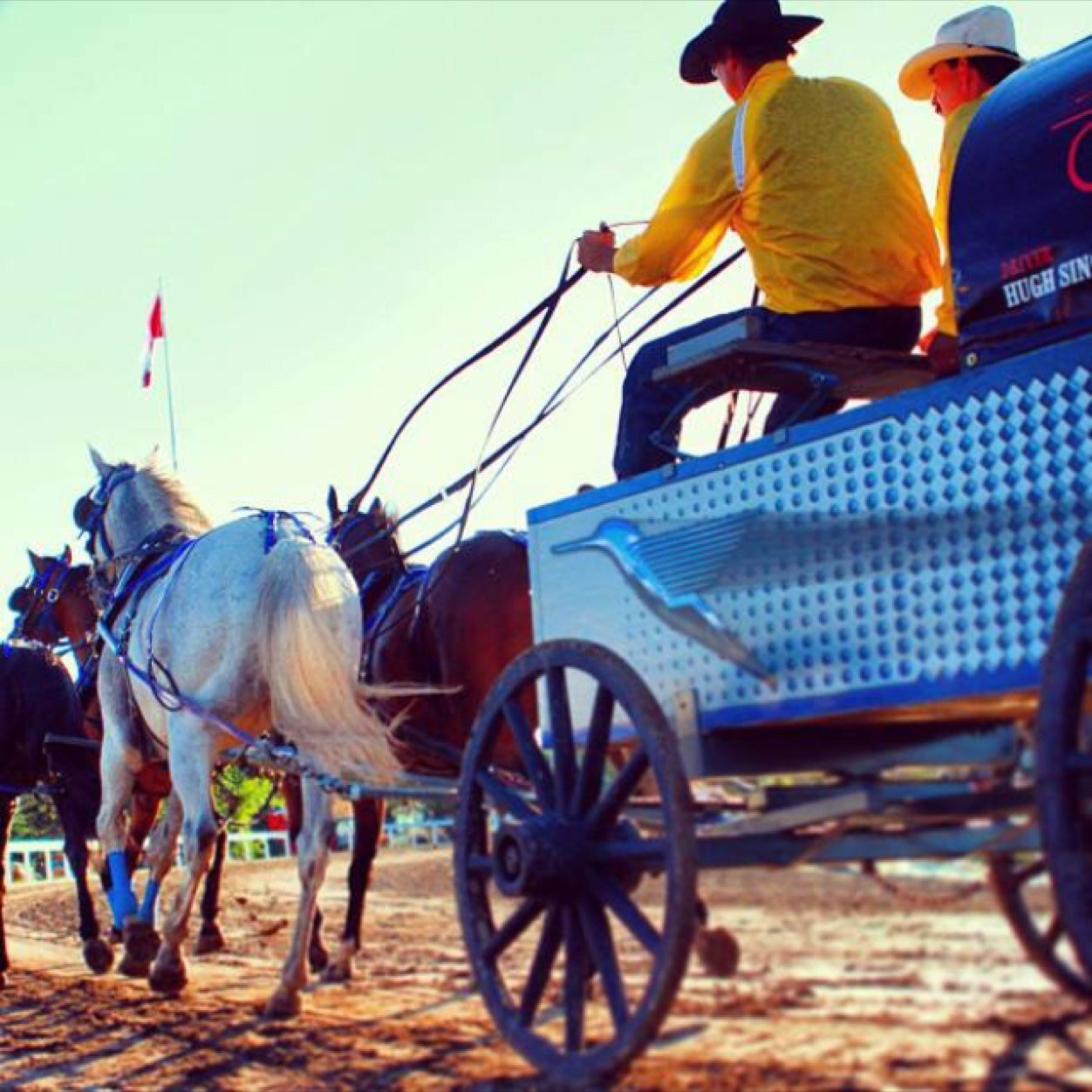 4X Stampede Champion in the extreme sport of chuckwagon racing! We Love Horses