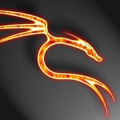 Jipenk13's profile picture. ------------------------------