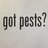 Larry's Pest Control