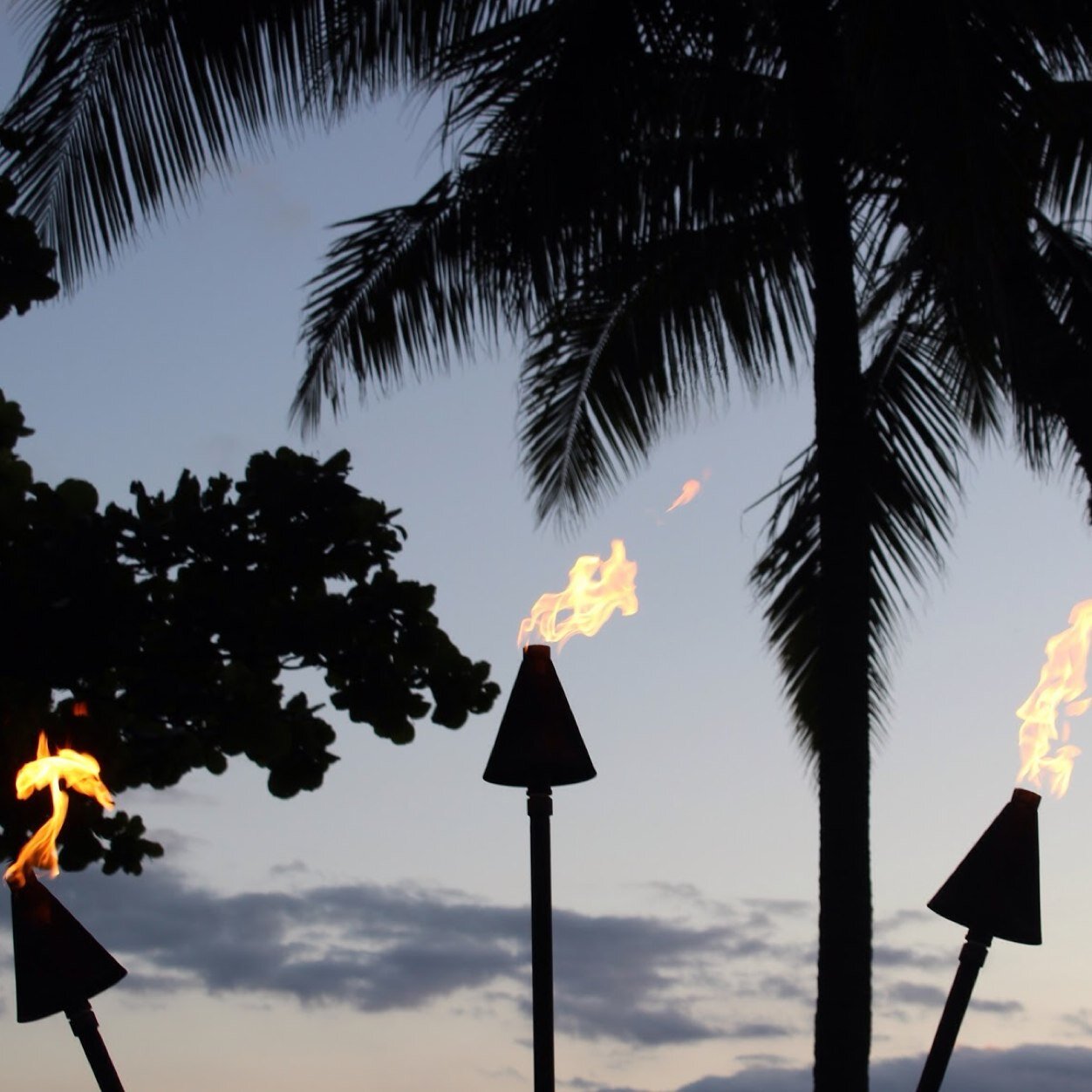 ColorfulLenses's profile picture. The website is curently undergoing complete reconstruction! Stay tuned for @jackhpearce99 's winter collection!