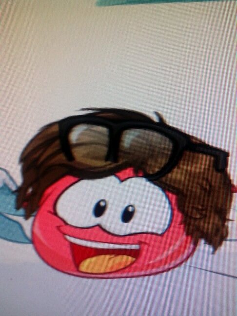 jogo club penguin e gosto de jogar transformice desde 2013 e tbm sou um youtuber faço videos de comedia,educaçao e filmes e moro em sundae (club penguin)