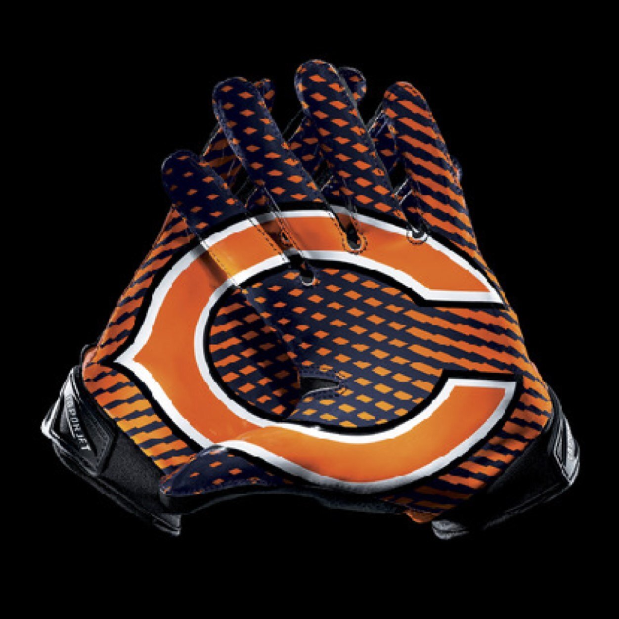 Go Bears! 1985 Superbowl Champs! 2014 season is coming soon!