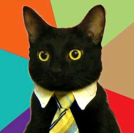 GatitosMemes Profile Picture