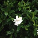 Haley Ledbetter - @HalesSays555 - Twitter