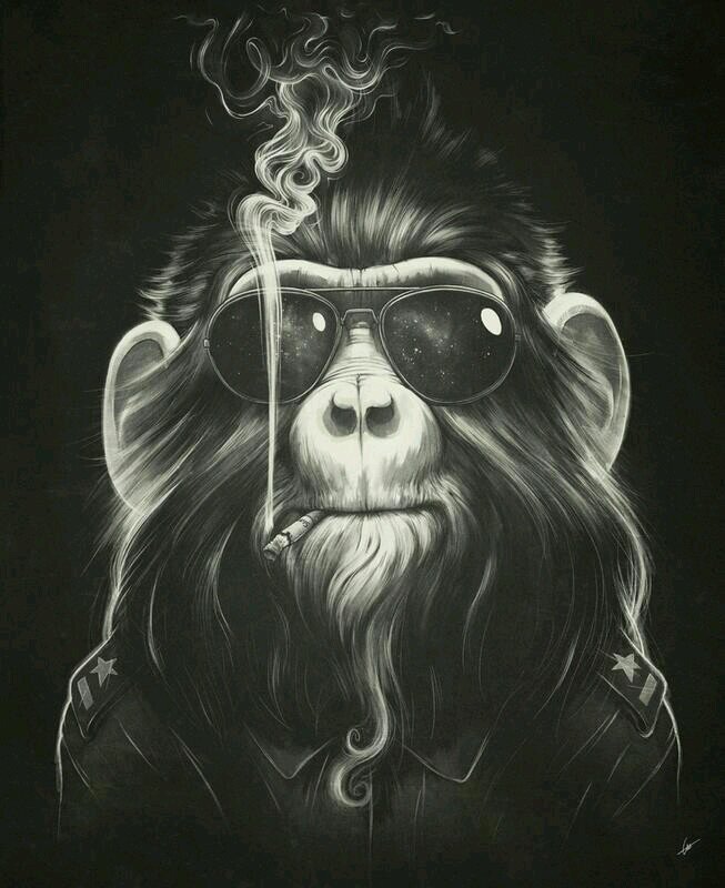 #sdv  #UniaoDoTwitterSegueEuSigoDeVolta #BancoDeSeguidores @ClubeFoIlowBack