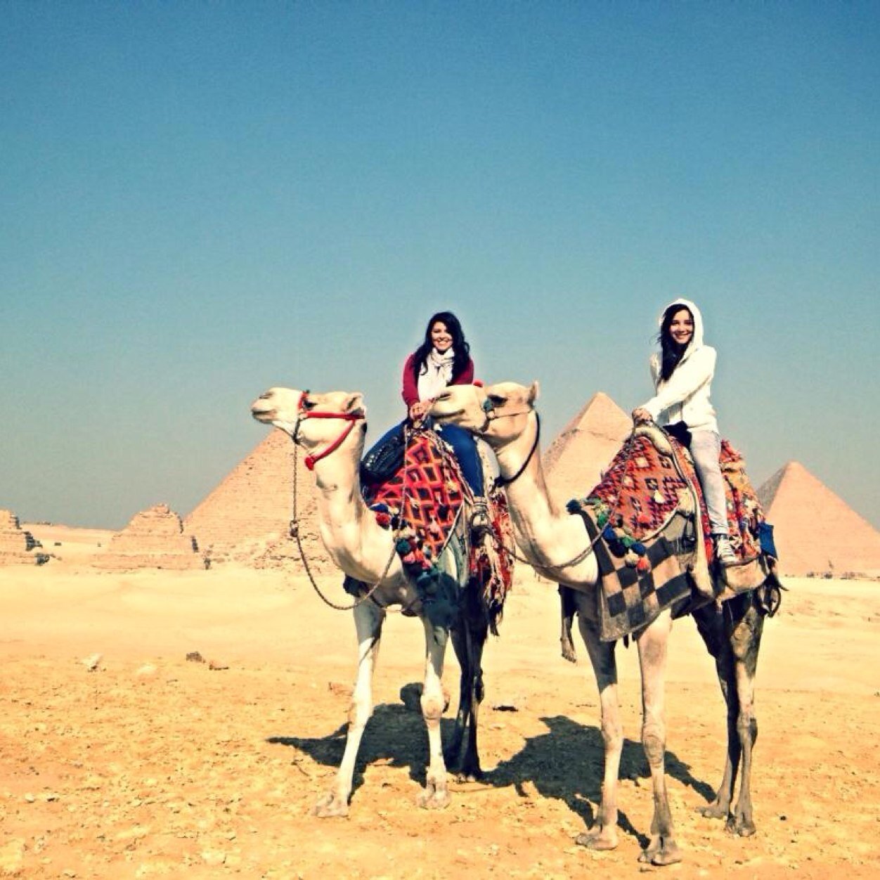 ViriVillela's profile picture. 