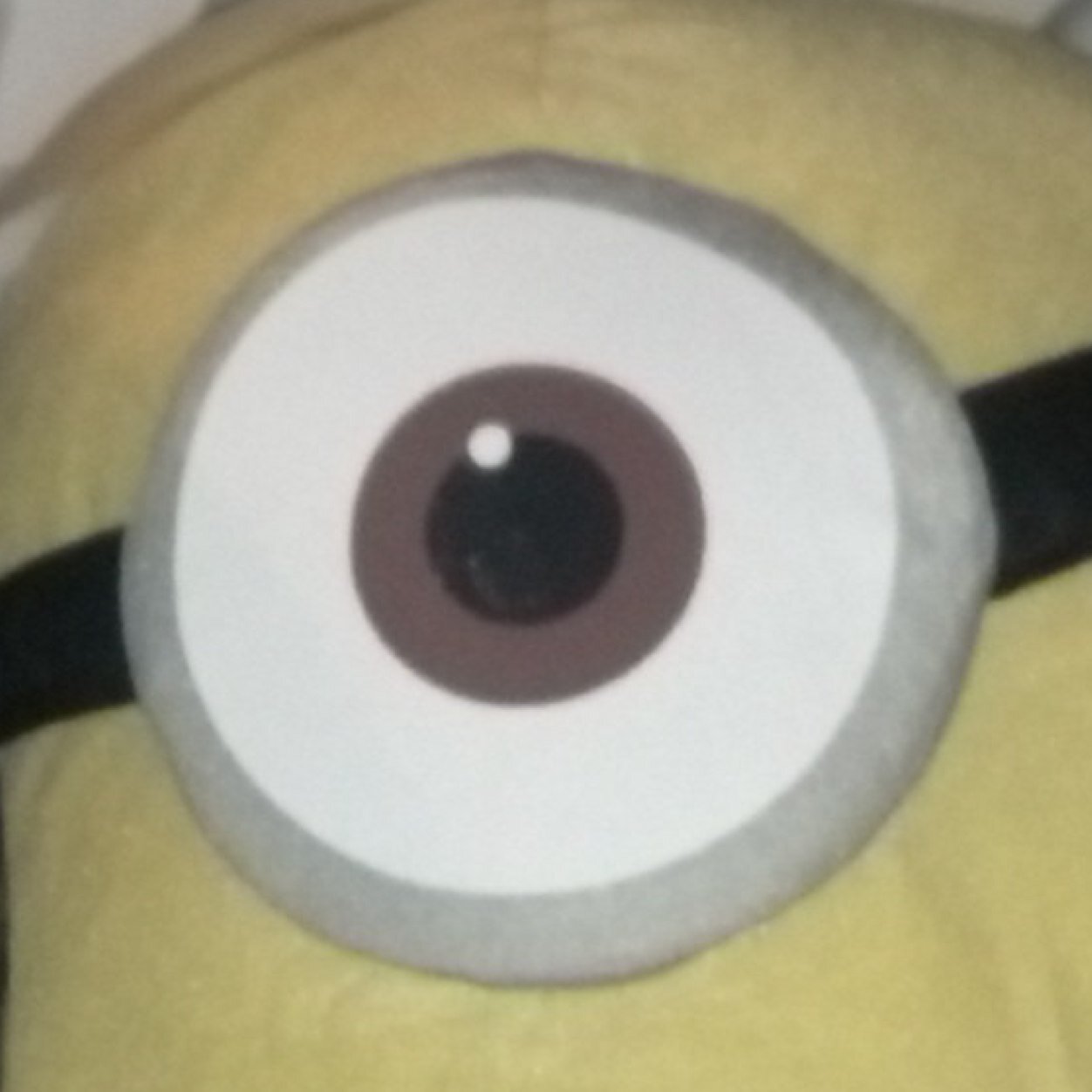 IceyBrownie's profile picture. just starting this tweeter thing and putting stuff here.  so stuff and stuff...