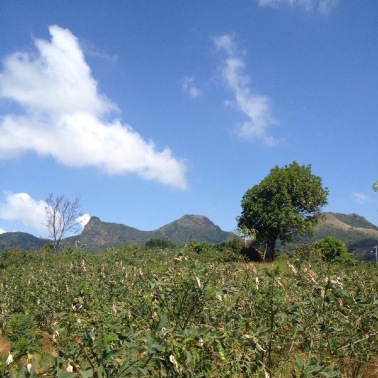 Terrenos a la venta con vista al horizonte viendo coronado, punta barco desde Mil metros cuadrados  y a tu espalda montañas! http://t.co/4N9YPz3Frw