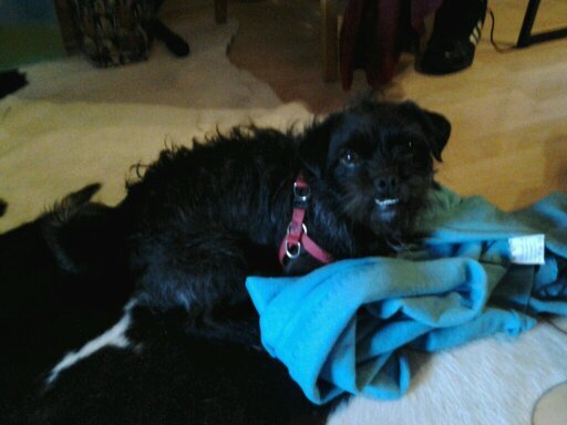 CMomjian's profile picture. 