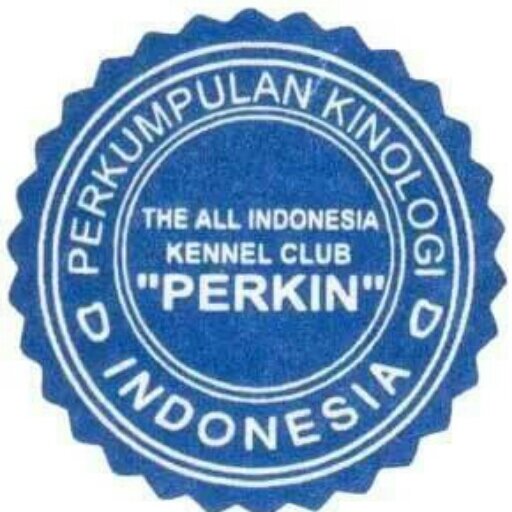 PECINTA & PENYANYANG ANJING PALEMBANG ✌
