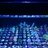 fishman0803's profile image