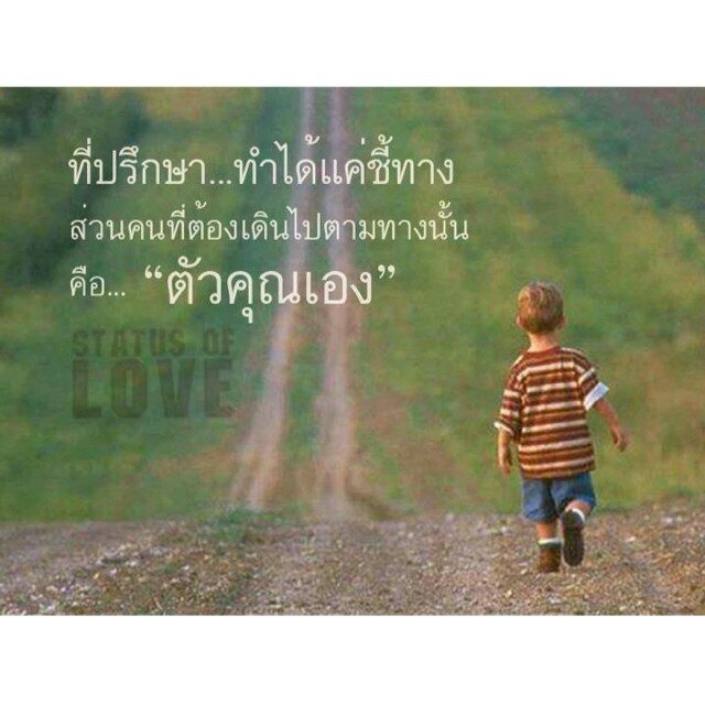 palattunti's profile picture. 