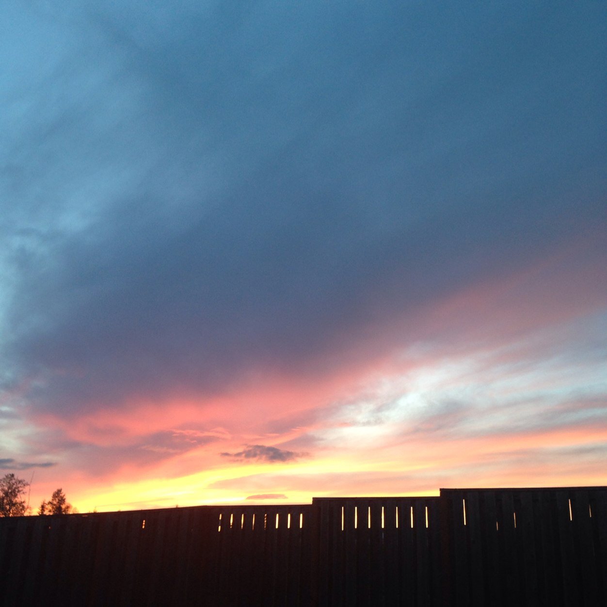 acmjustice's profile picture. 