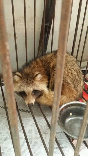 gjplayon's profile picture. 今後RTのみ、ツィートなしの方はブロックさせて頂きます。絡みのない鍵付きはブロックします。