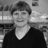 Mary-Louise Rogers (@mlrogers123) 's Twitter Profile Photo Mary-Louise Rogers (@mlrogers123) 's Twitter Profile Photo