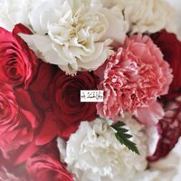 Sara M. Bouhamra (@sooos_b) 's Twitter Profile