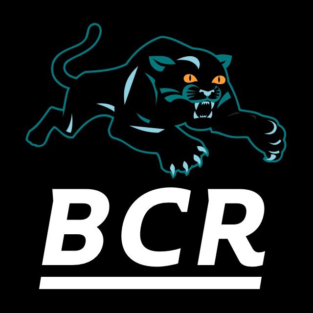 News and opinions on the @PenrithPanthers. Also a weekly podcast http://t.co/ZN6jCI5fMf #BlackCatPod