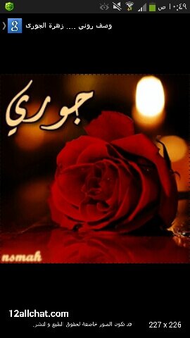 كل شي لك كتبت وكل شي لي قريت فيه شي من عناي وفيه شي من غلاك♡