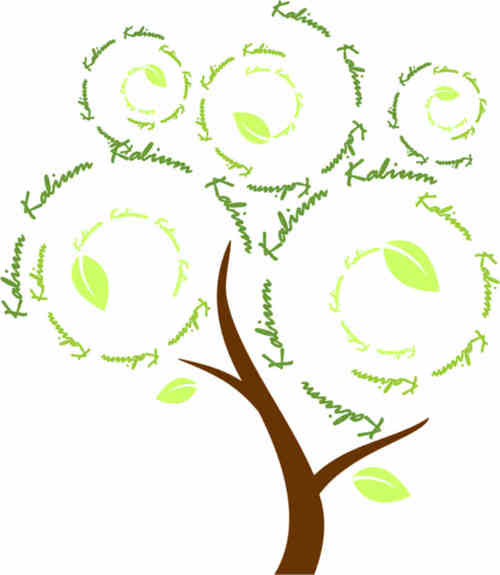 kaliumltda's profile picture. 