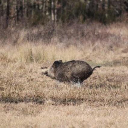 Association déterminée pour une écologie durable, partagée et libre.