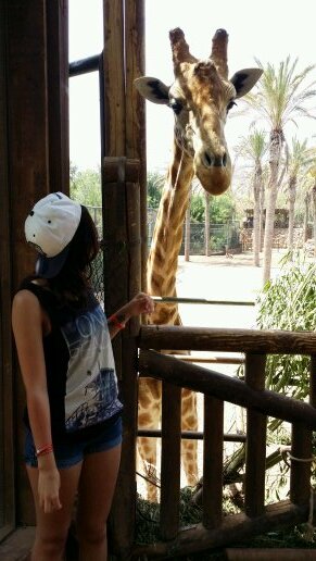 Walshykins's profile picture. 