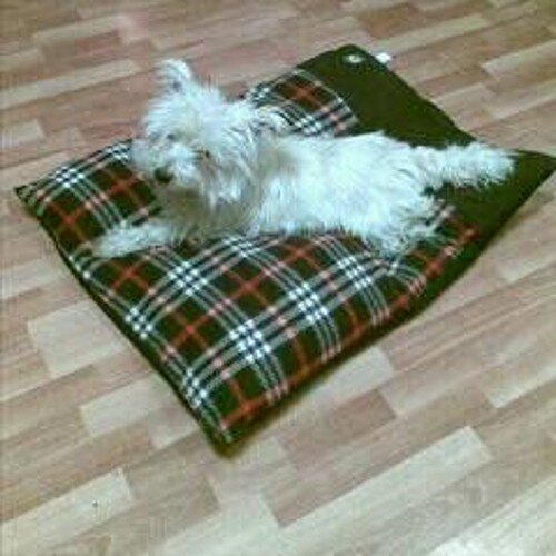 CatrionaOatham's profile picture. 