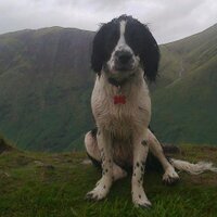 danny (@dcbhoydanny) 's Twitter Profile Photo danny (@dcbhoydanny) 's Twitter Profile Photo