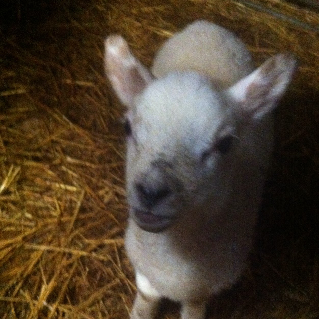 crystawells's profile picture. Its me :)