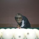 Егор (@02_Greg) Twitter