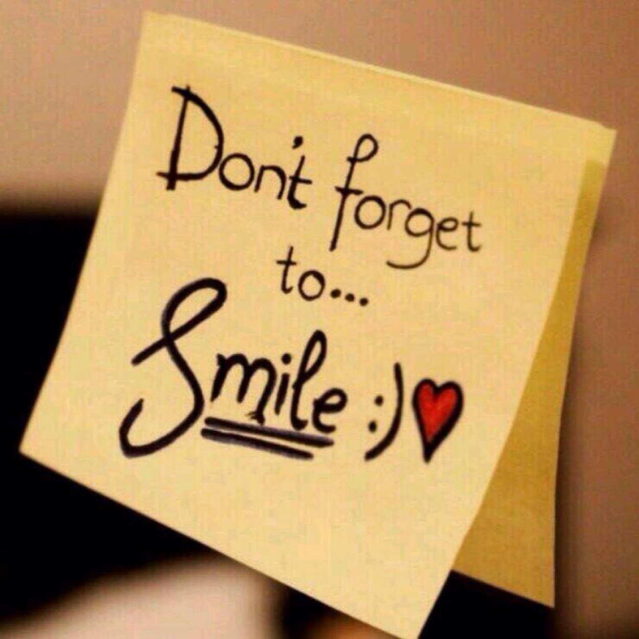 AhmeAli12's profile picture. 