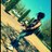 laurosell's profile image