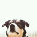 Michel Dumont - @Sawyer_82 - Twitter