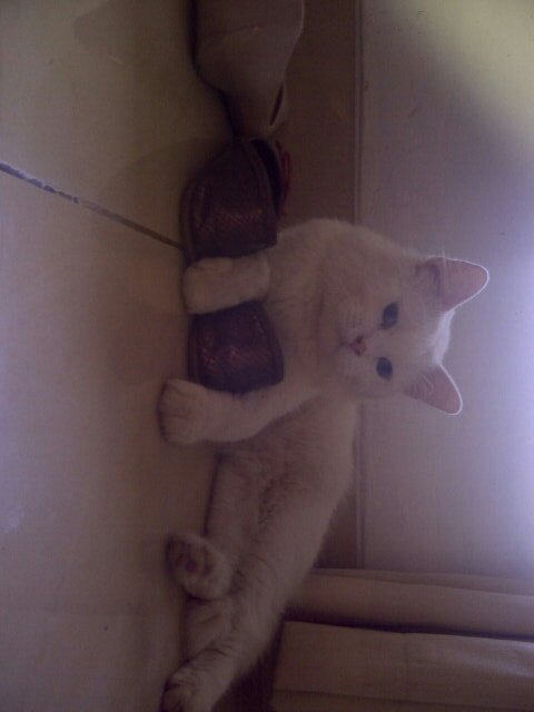 Zakiswanto's profile picture. 