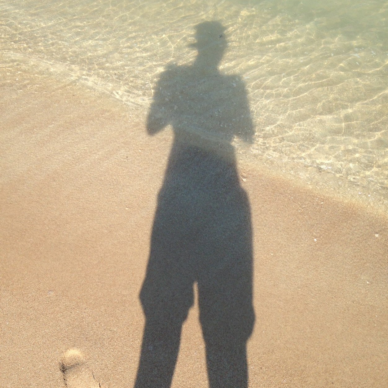 SamCat0's profile picture. Pro golfer